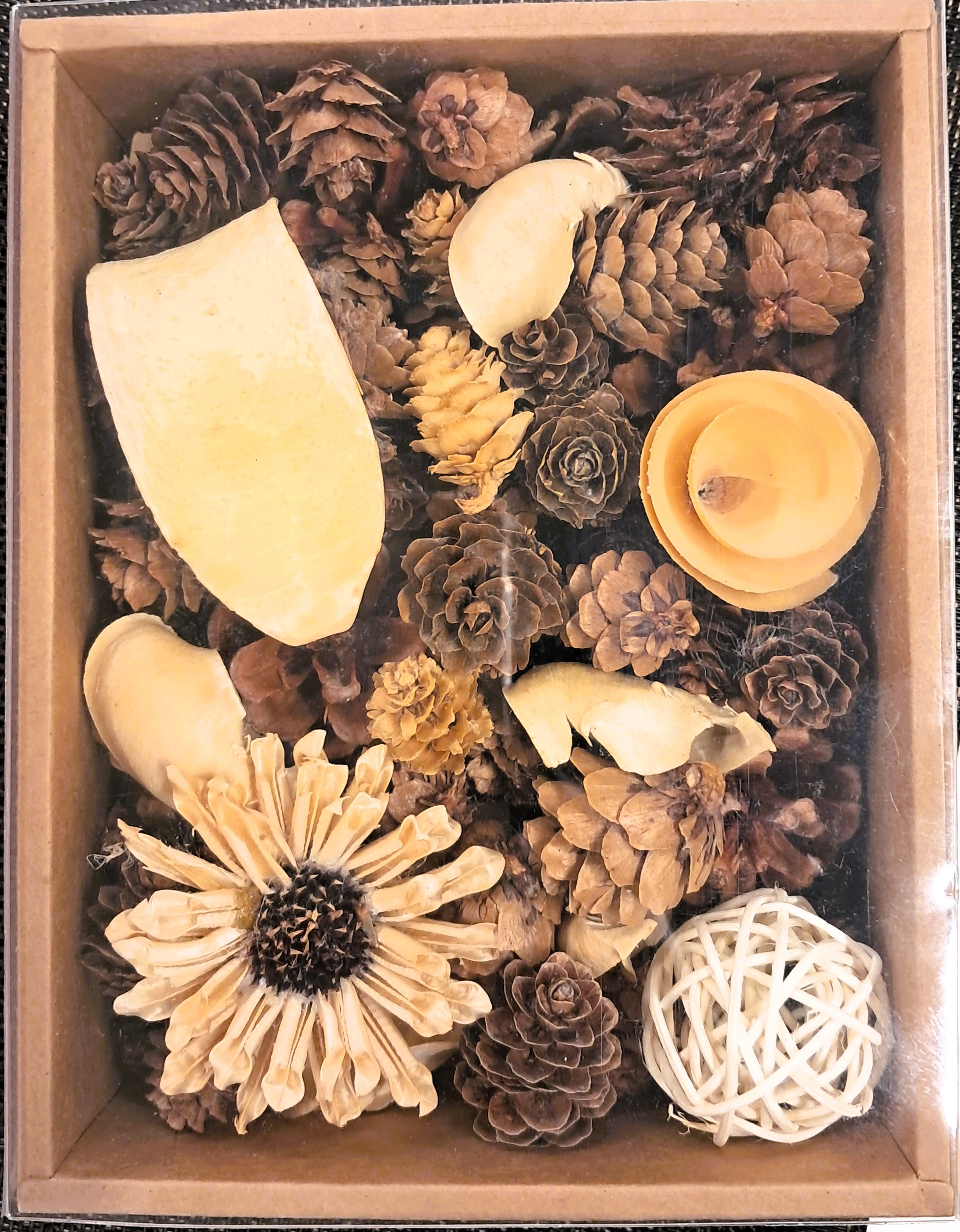 Forest Harmony Potpourri Box - Natural Home Fragrance & Decor